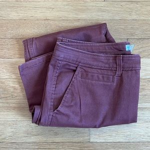 Market & Spruce Rosabel Mid Rise Skinny Cuffed Pant